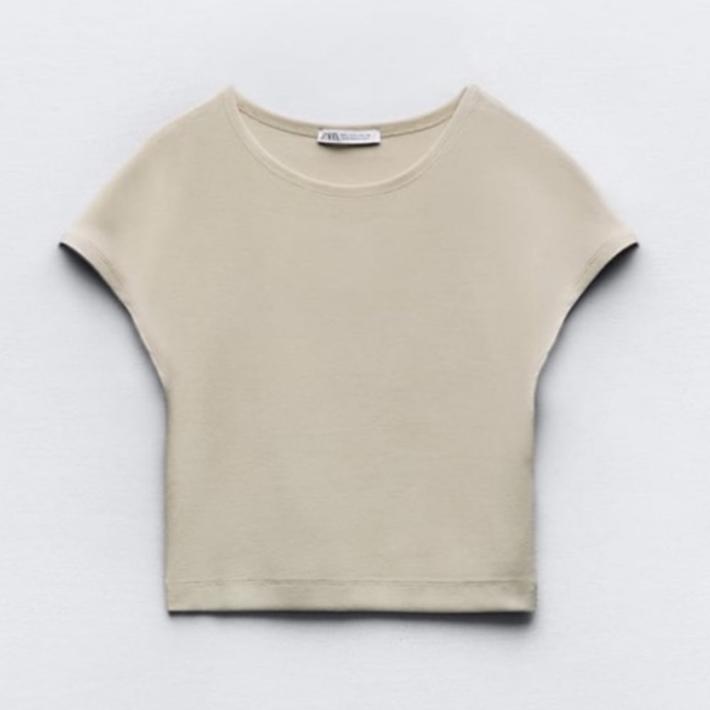 Zara Top